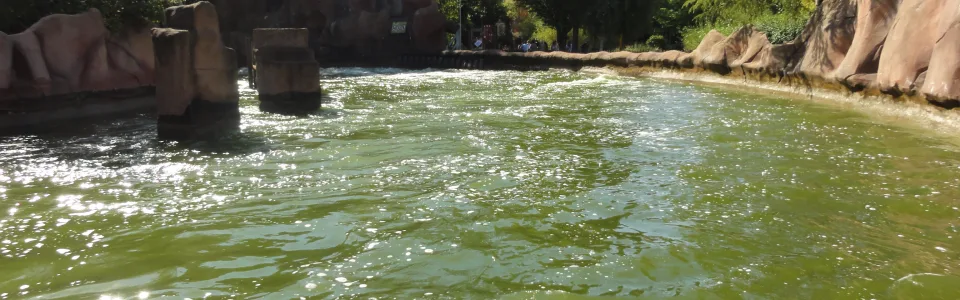 RADJA RIVER