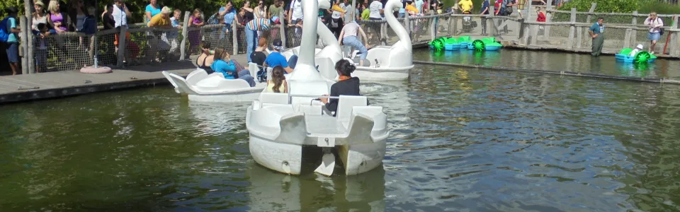 The Pedal Boats