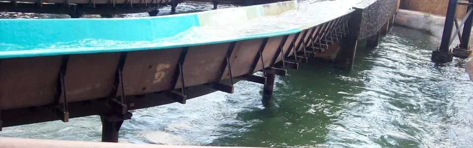 Silver River Flume