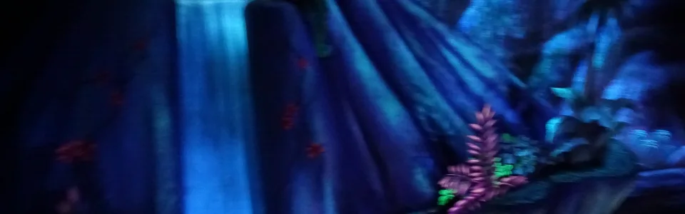 Peter Pan’s Flight