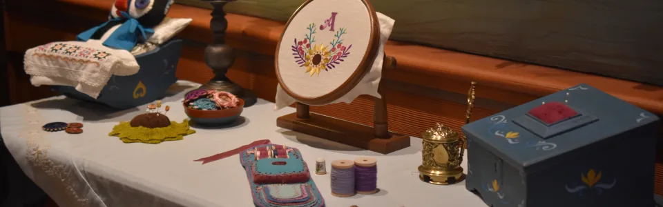 Anna and Elsa's Frozen Journey