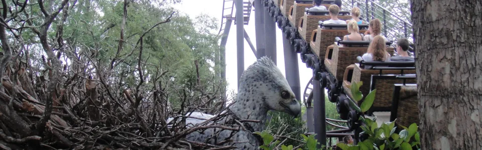 Flight of the Hippogriff™