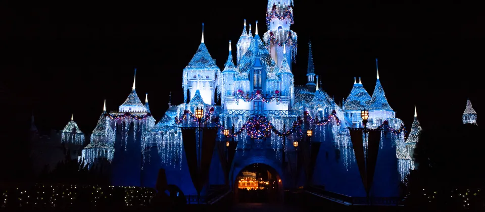Disneyland Park
