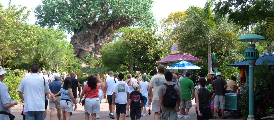 Disney's Animal Kingdom Theme Park