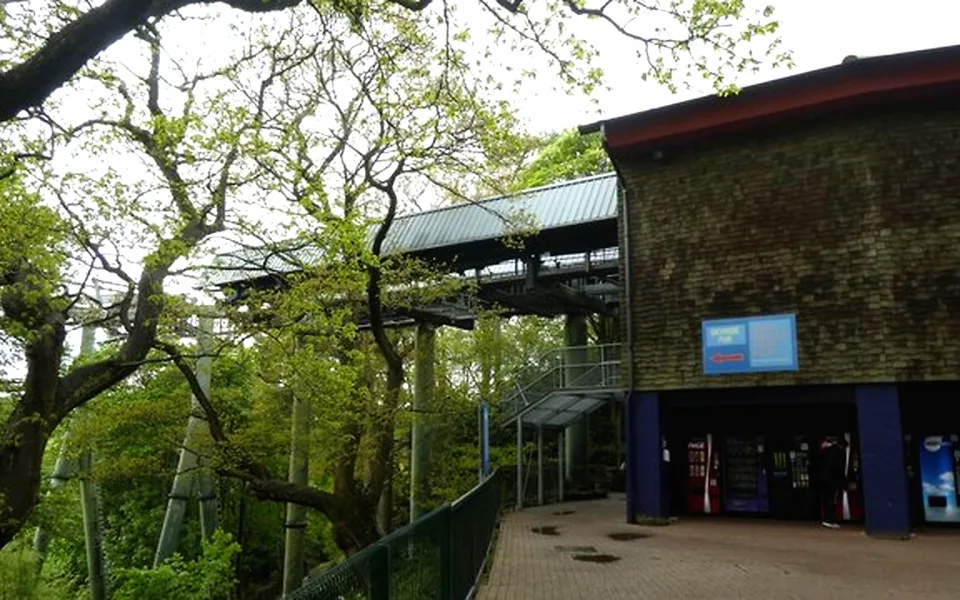 Photo 1 of Skyride to Towers St. (From Forbidden Valley)