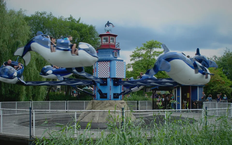 Foto 1 von Flying Orca