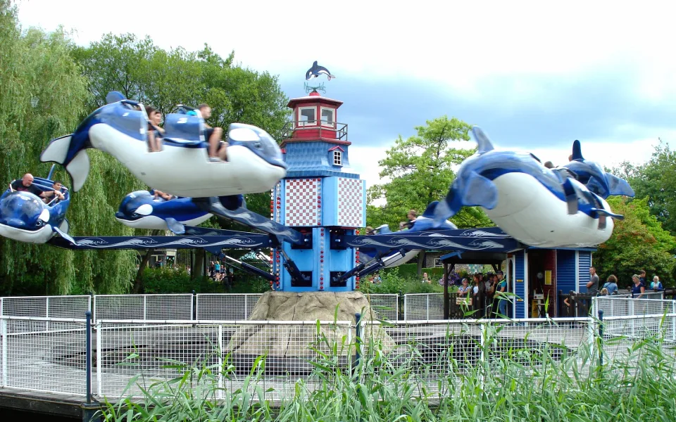 Zdjęcie 1 autorstwa Flying Orca