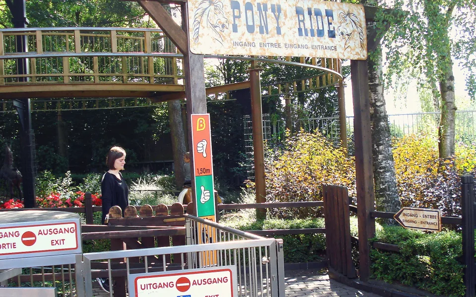 Zdjęcie 1 autorstwa Ponyride