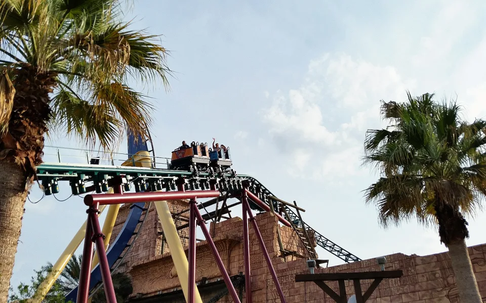 Foto 1 van Cobra's Curse