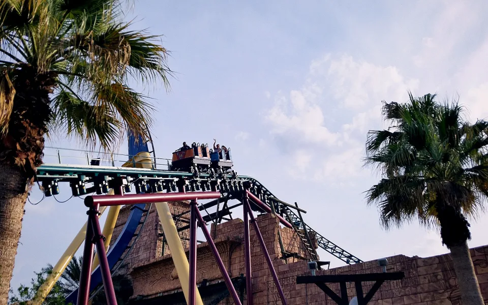 Foto 1 av Cobra's Curse
