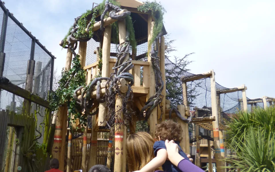 Foto 1 af AMAZU: Treetop Adventure