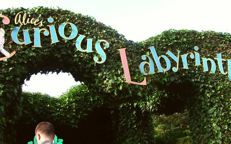 Foto 1 av Alice's Curious Labyrinth