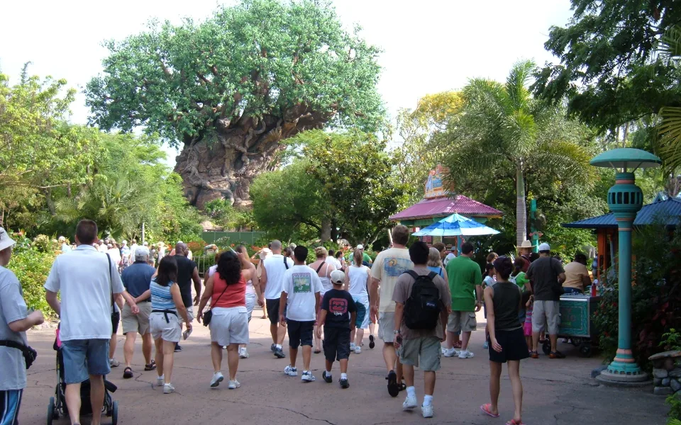 Foto 1 af Disney's Animal Kingdom Theme Park