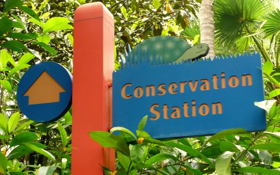 Photo 1 de Animal Care at Conservation Station