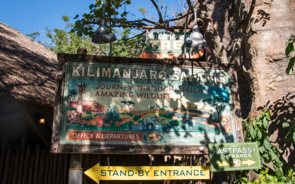 Photo 1 de Kilimanjaro Safaris
