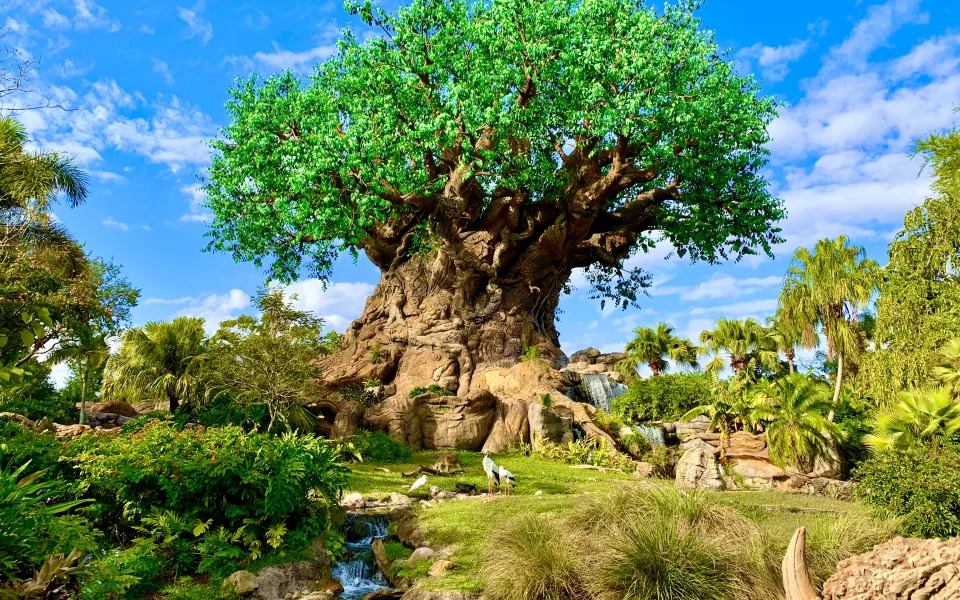 Foto 1 av Tree of Life