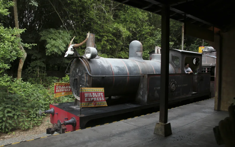 Foto 1 av Wildlife Express Train