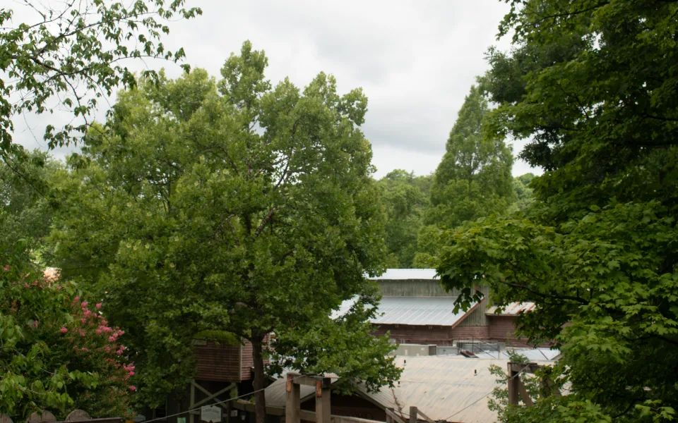 Zdjęcie 1 autorstwa Dollywood