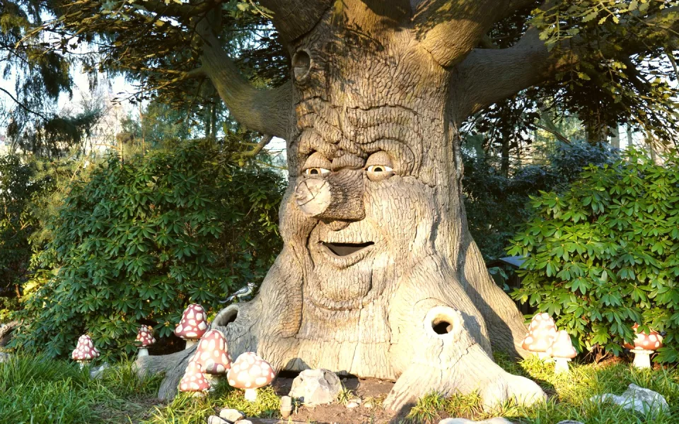 Foto 1 av Fairytale Forest