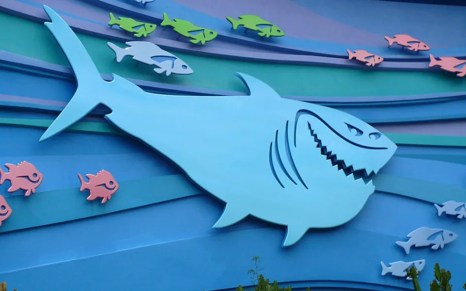 Foto 1 av Bruce's Shark World