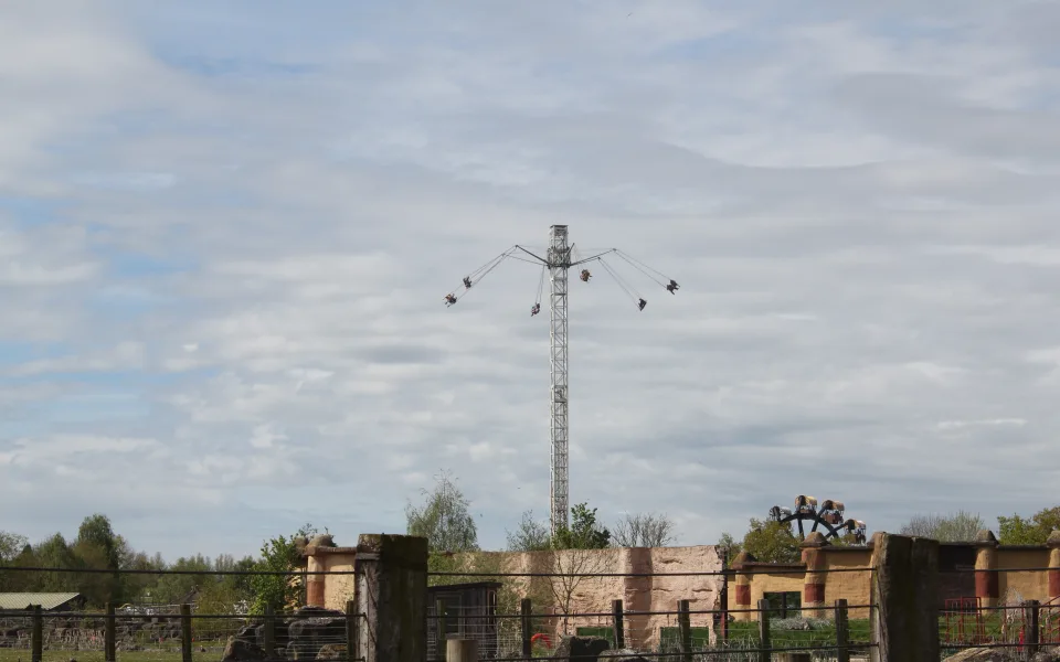 Photo 1 de Pterodactyl