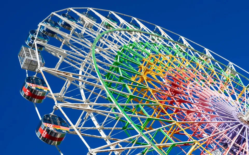 Foto 1 av Shining Flower Ferris Wheel