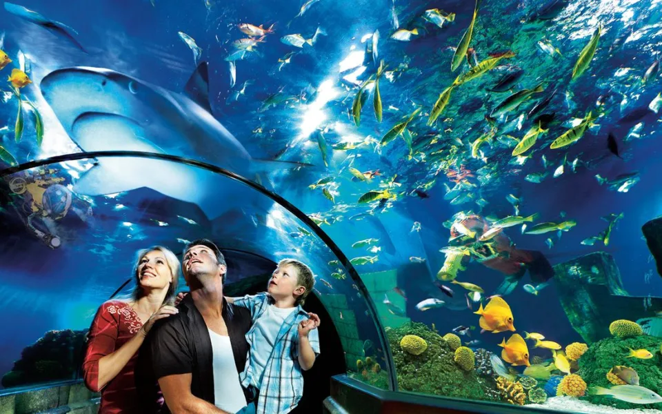 Zdjęcie 1 autorstwa Atlantis by SEA LIFE™