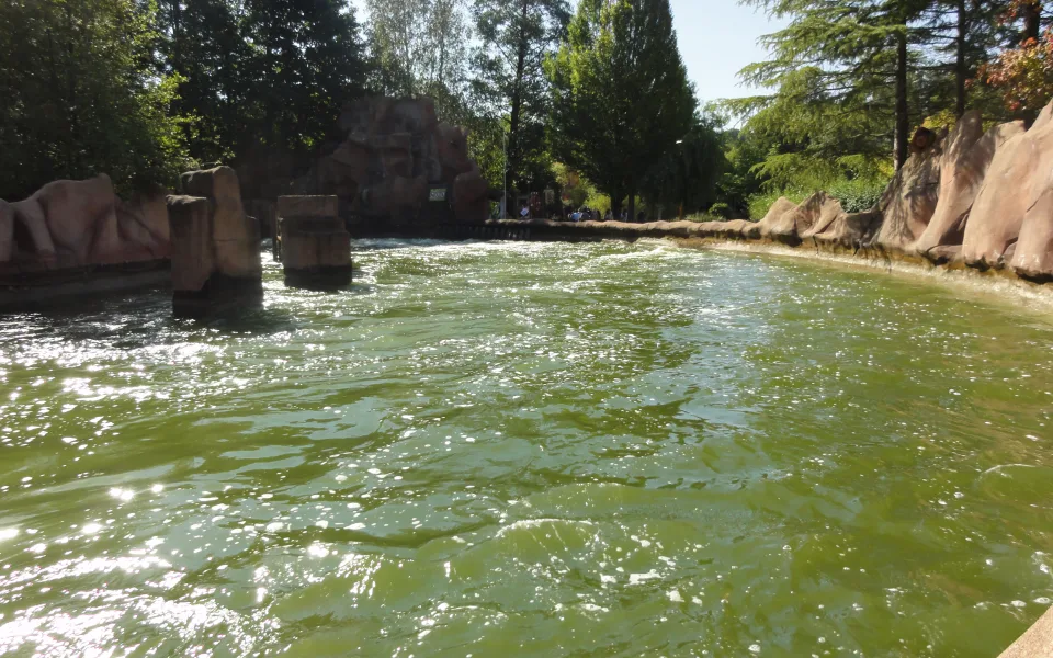 Zdjęcie 1 autorstwa RADJA RIVER