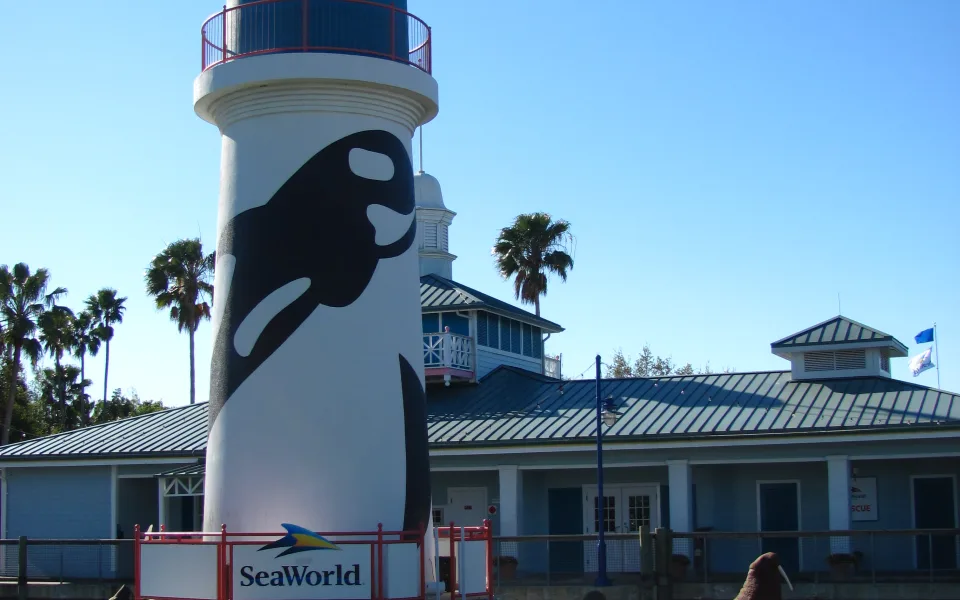 Foto 1 av SeaWorld Orlando