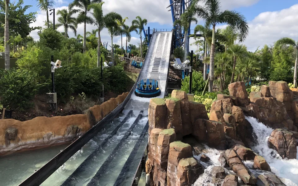 Zdjęcie 1 autorstwa Infinity Falls®