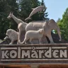 Foto av Kolmården